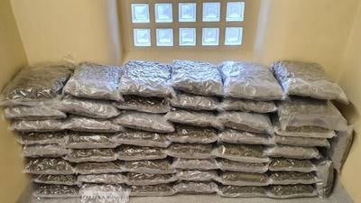 Gardaí seize €1m worth of suspected cannabis in Co Meath warehouse