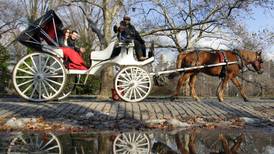 New York carriage drivers hope horse sense may prompt U-turn on ban