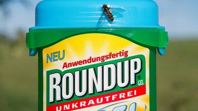 Weedkiller subject of multimillion payout in US will still be licensed in Ireland