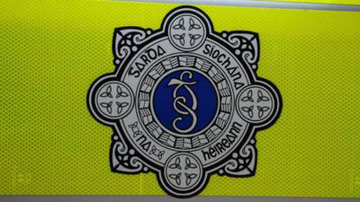 Woman dies after car leaves road in Co Offaly