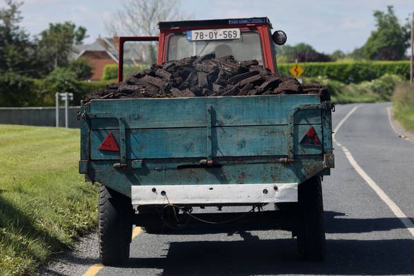 Peat use in horticulture sector ‘may continue to 2035’