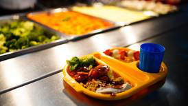 Suppliers pulling out of school meals scheme due to rising food costs, Minister says
