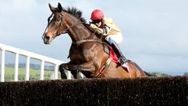Veteran could be out On His Own in Punchestown Gold Cup clash