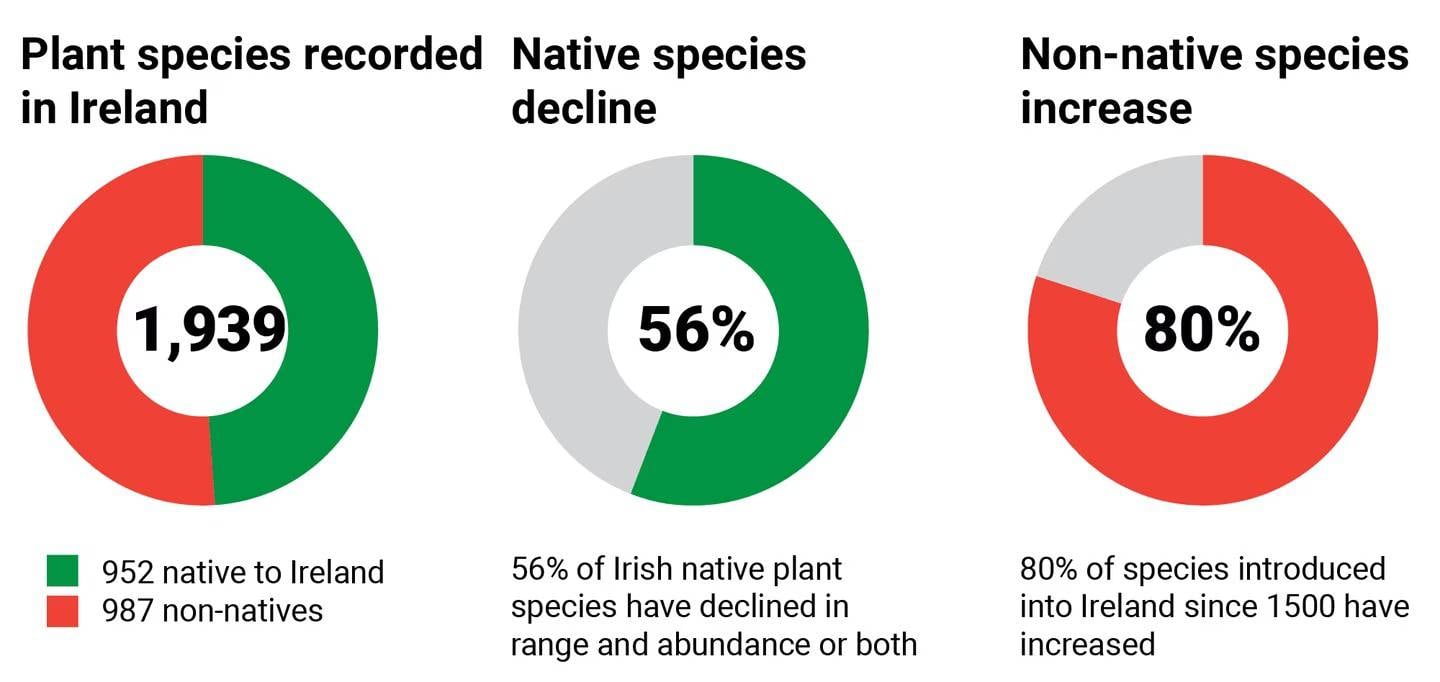 Plant species recorded in Ireland, plant atlas