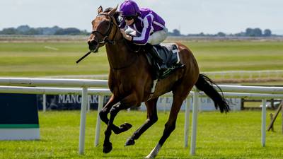 Snowfall continues fine season with romp in Irish Oaks