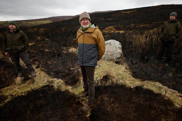 Damage done to environment by Wicklow hill fire ‘disappointing’, says Minister