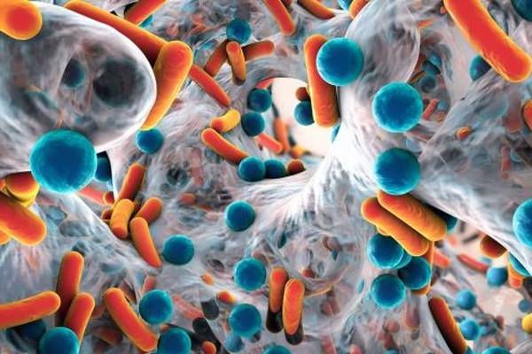 Four hospitals fail to control spread of superbug