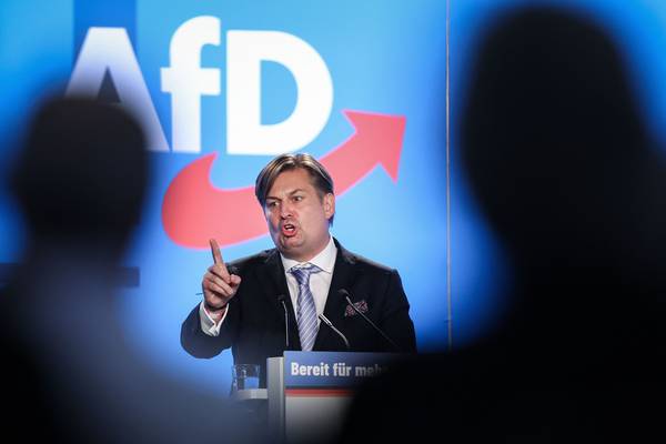 AfD in freefall over European lead candidate