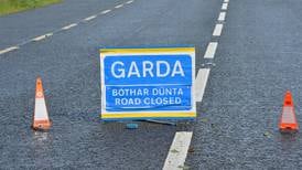 Gardaí appeal for witnesses after pedestrian dies in Co Offaly road crash