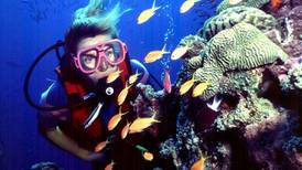Unesco to Australia: do more to save the Great Barrier Reef