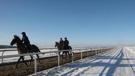 Frost and snow put Irish racing fixtures ‘in the lap of the gods’