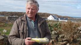 Tag attached to bowhead whale 12 years ago found on Connemara coastline