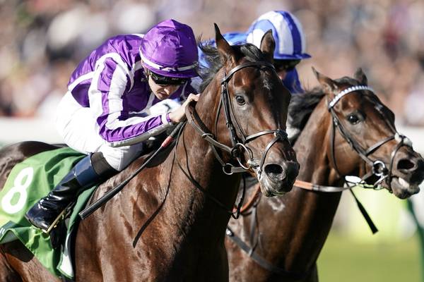 Ten Sovereigns and Advertise set to clash again in British Champions Sprint