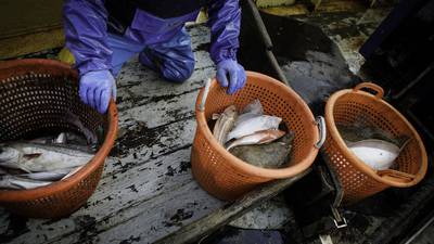 Ireland among worst offenders for overfishing, says new report