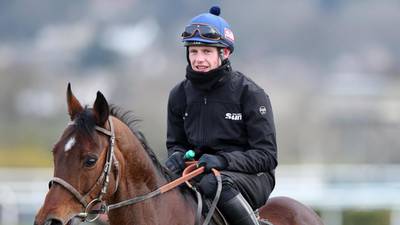 Hurricane Fly to prove doubters wrong in Champion Hurdle at Cheltenham