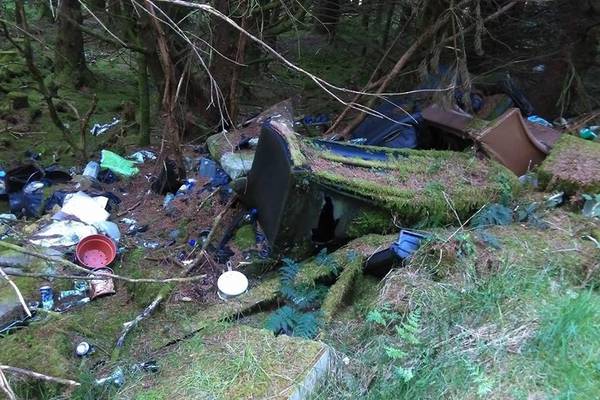 Coillte to spend €100,000 clearing waste dumped in Meath forests