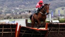 Laurina stakes early Arkle claim with debut chase victory