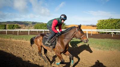 Paul Townend drawing support to  be Cheltenham’s leading jockey