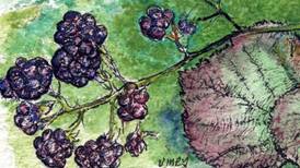 Another Life:  March of brambles keeping botanists on their toes