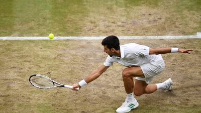 Novak Djokovic growls and swipes at holes in Wimbledon ground