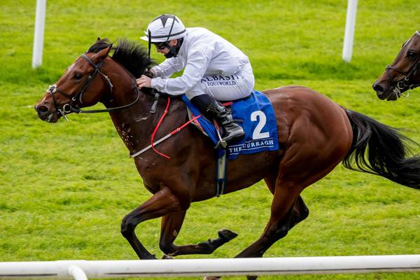 Ado McGuinness considering Breeders’ Cup option for A Case Of You