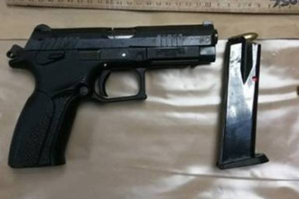 Man released without charge after guns seized in west Dublin