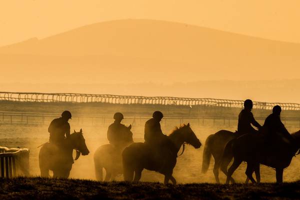 French racing’s potential return seen as positive by Horse Racing Ireland