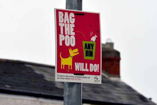 Dog poo droppers, menacing kids and red-light breakers of Dublin: this writer did not get the non-confrontation memo