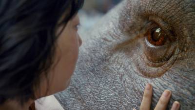 Okja review: a mad tale of giant pigs and evil corporations  told with vigour