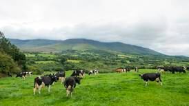 Farmers to get help with energy bills and moves to biodiversity