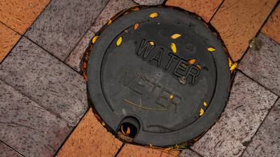 Absence of water charges ‘a rarity’, says World Water Council chief