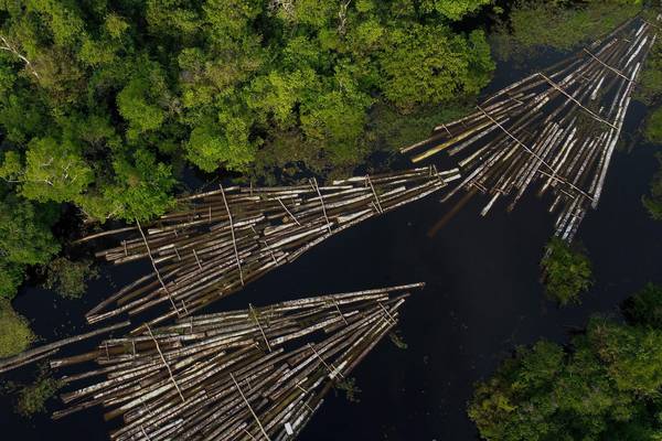 Deforestation in Amazon at highest level in 15 years