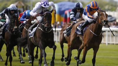 Pleascach expected to prove her credentials in style in Ribblesdale Stakes