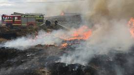 No farmer has lost payments over illegal fires, says Irish Wildlife Trust