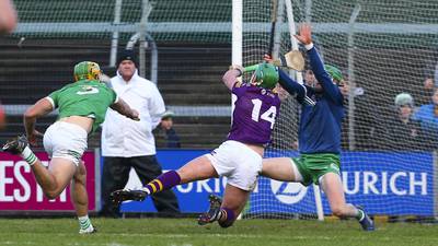 Wexford’s hopes for a decent performance more than met in Limerick win