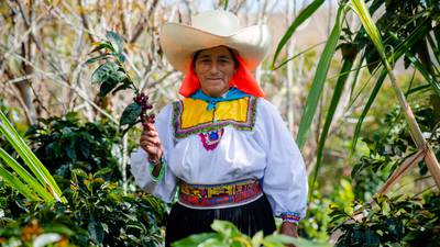 A special brew: How a Bewley’s partnership with Café Femenino is helping women farmers worldwide