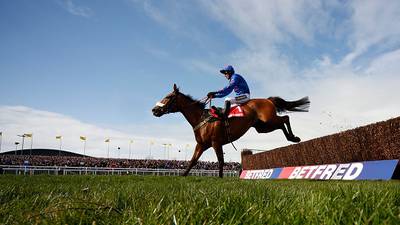 Cue Card ‘in the form of his life’ ahead of  Punchestown Gold Cup