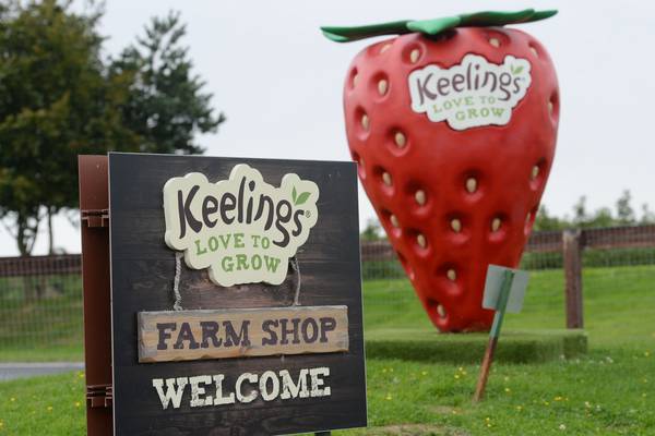 Keelings ask fruit pickers to segregate in ‘family units’