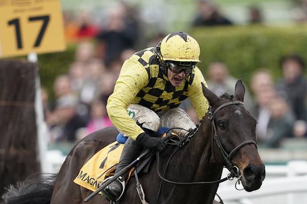 Prospect of Al Boum Photo claiming Gold Cup hat-trick unlikely to rattle Donnelly