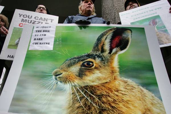 Calls to continue suspension of hare coursing over deadly disease