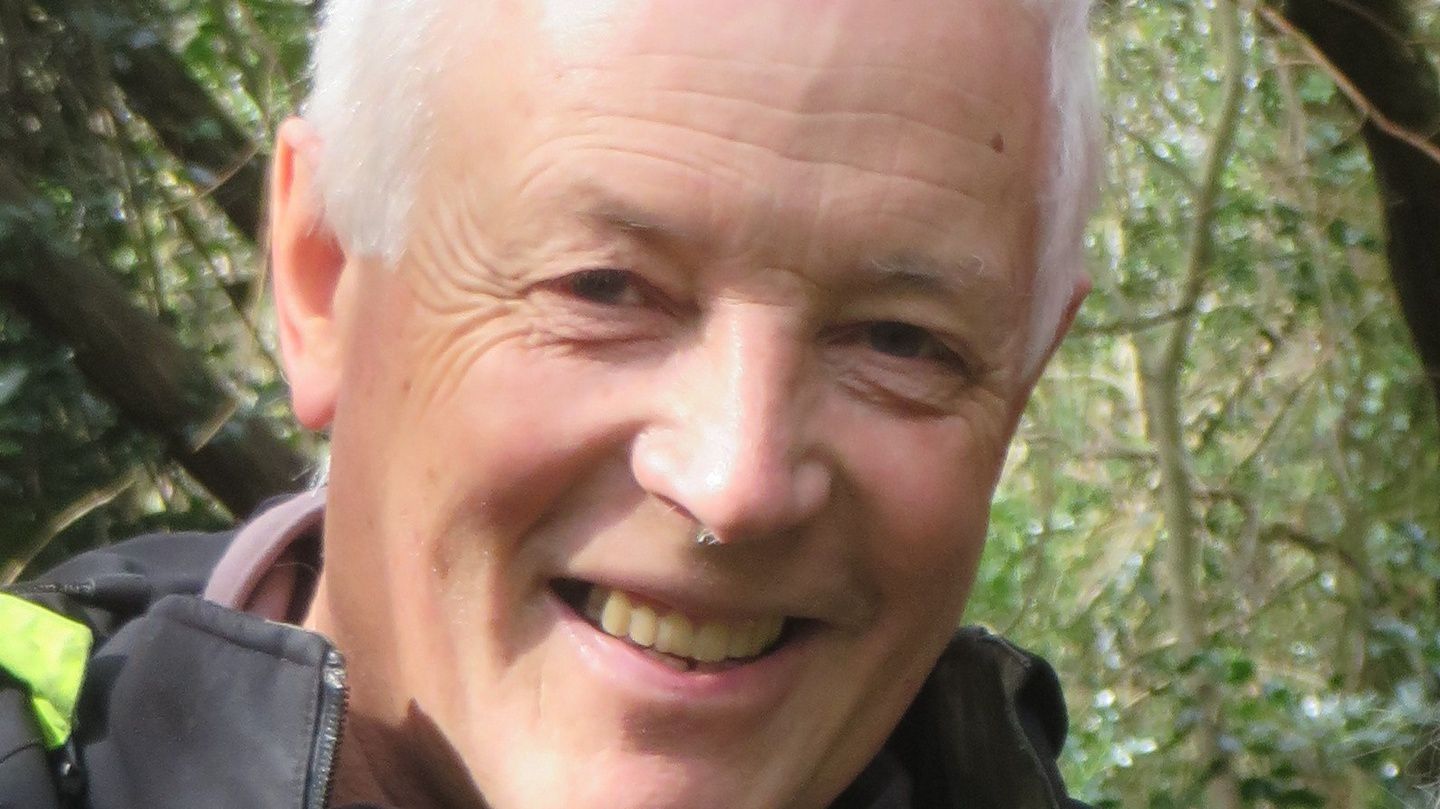 One mans story of a restored wildwood in Co Wicklow – The Irish Times