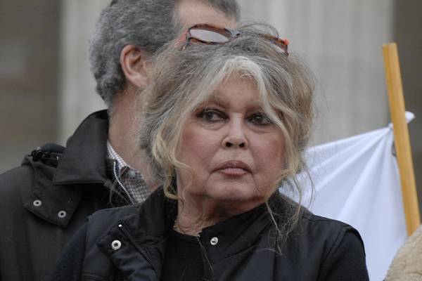 Brigitte Bardot on life in the spotlight: ‘I know what it feels like to be hunted’
