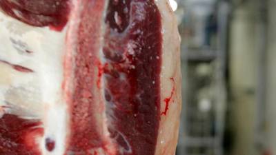 Most meat plant workers not paid sick leave, survey reveals