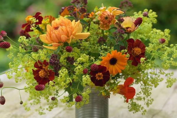 The guilt-free way to fill your vases? Grow a flower patch