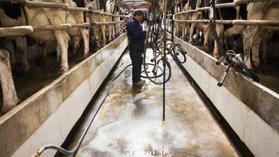 EU cuts to milk ‘not a return to quotas’, says Minister for Agriculture