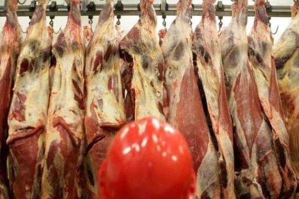 Why are there so many coronavirus infections at meat plants?