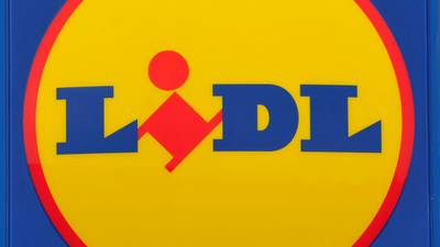 Lidl chief Holland departs over division on strategy
