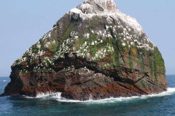 Rockall: Scottish will board Irish boats if they refuse to leave - Minister
