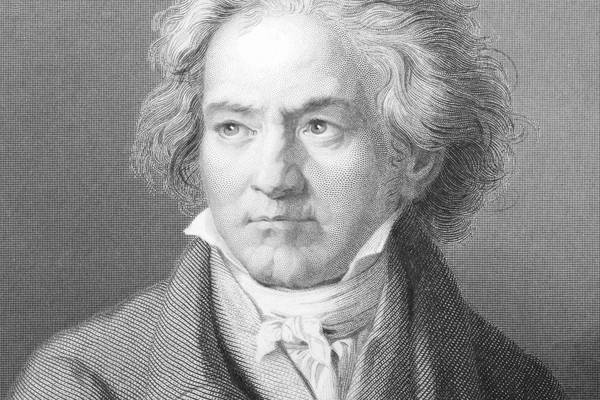 Ortolan’s symphony: Frank McNally on Beethoven’s feathered friend