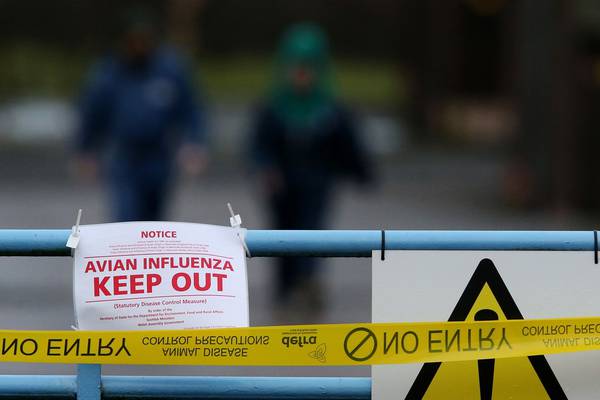 Farmers urged to be  vigilant after bird flu outbreak  in England